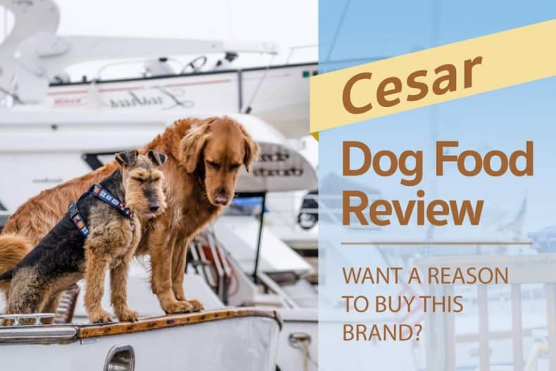 Cesar Dog Food Feeding Chart