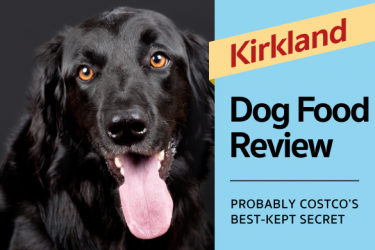 kirkland puppy food review labrador hq everything labrador retriever kirkland puppy food review labrador hq everything labrador retriever