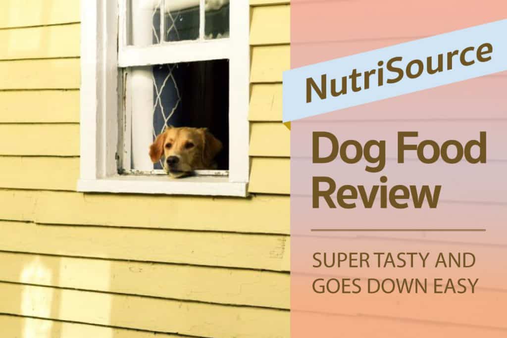 nutrisource large breed puppy food reviews