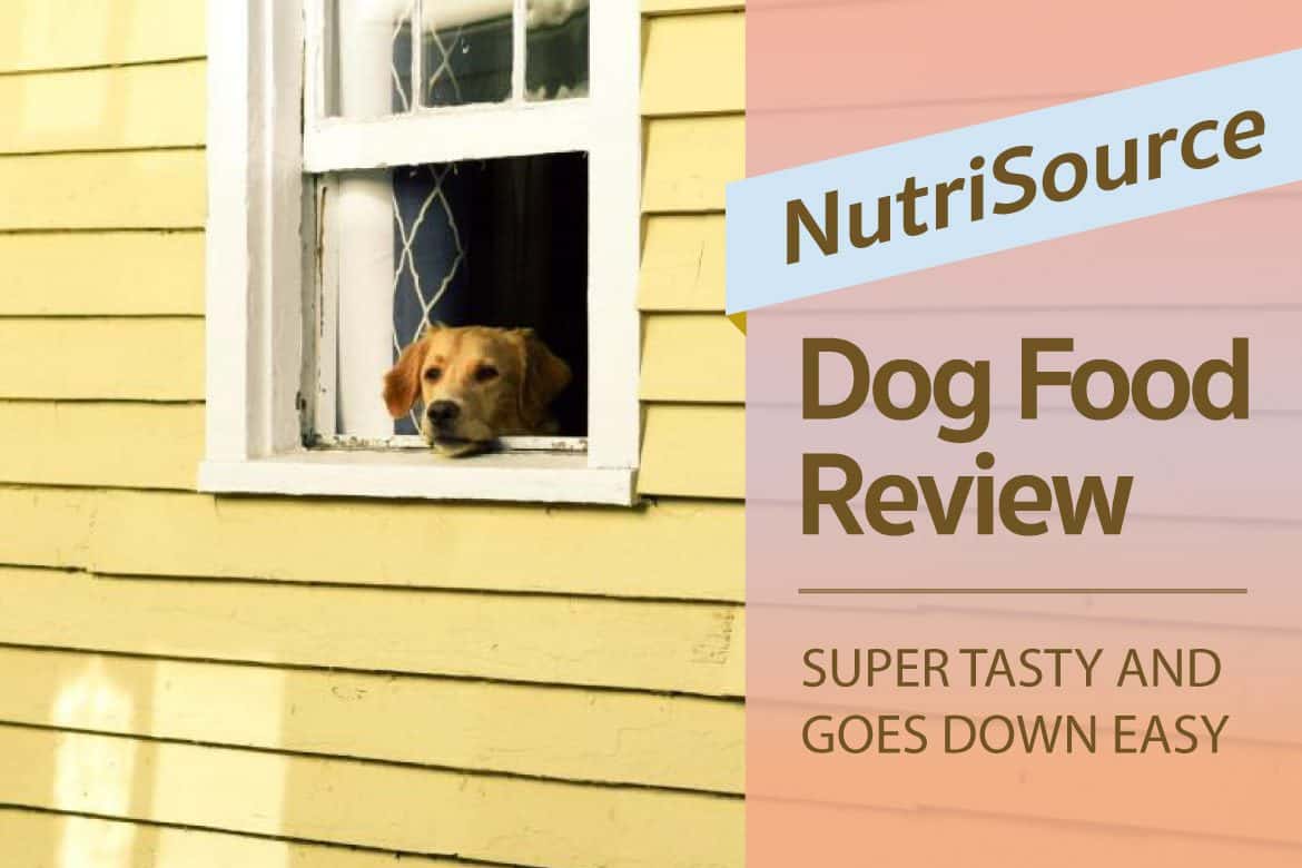 NutriSource Dog Food Review Super Tasty And Goes Down Easy nutrisource-dog-food-review-super-tasty-and-goes-down-easy