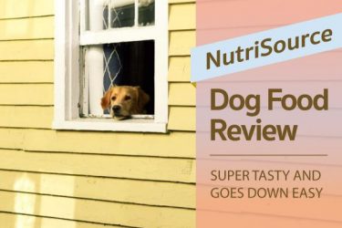 nutrisource puppy food reviews labrador hq everything labrador retriever nutrisource puppy food reviews labrador hq everything labrador retriever