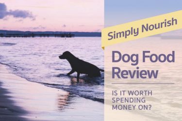 simply nourish food reviews labrador hq everything labrador retriever simply nourish food reviews labrador hq everything labrador retriever