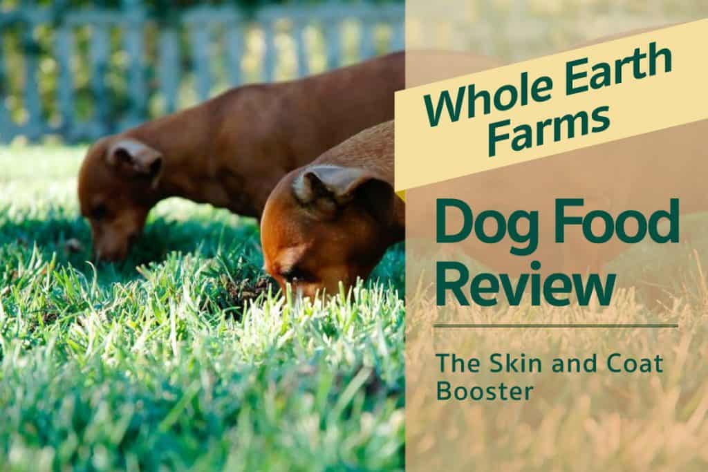 whole earth dog food reviews