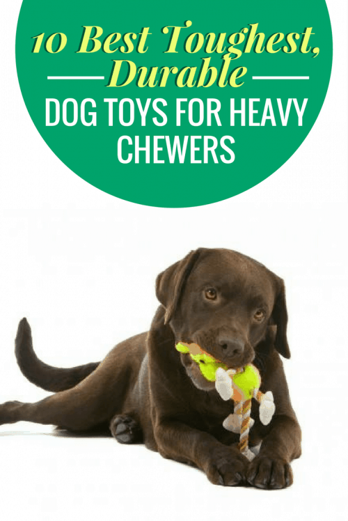 best dog balls for chewers