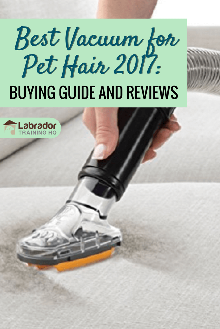Best Vacuum For Pet Hair 2018 Buying Guide And Reviews
