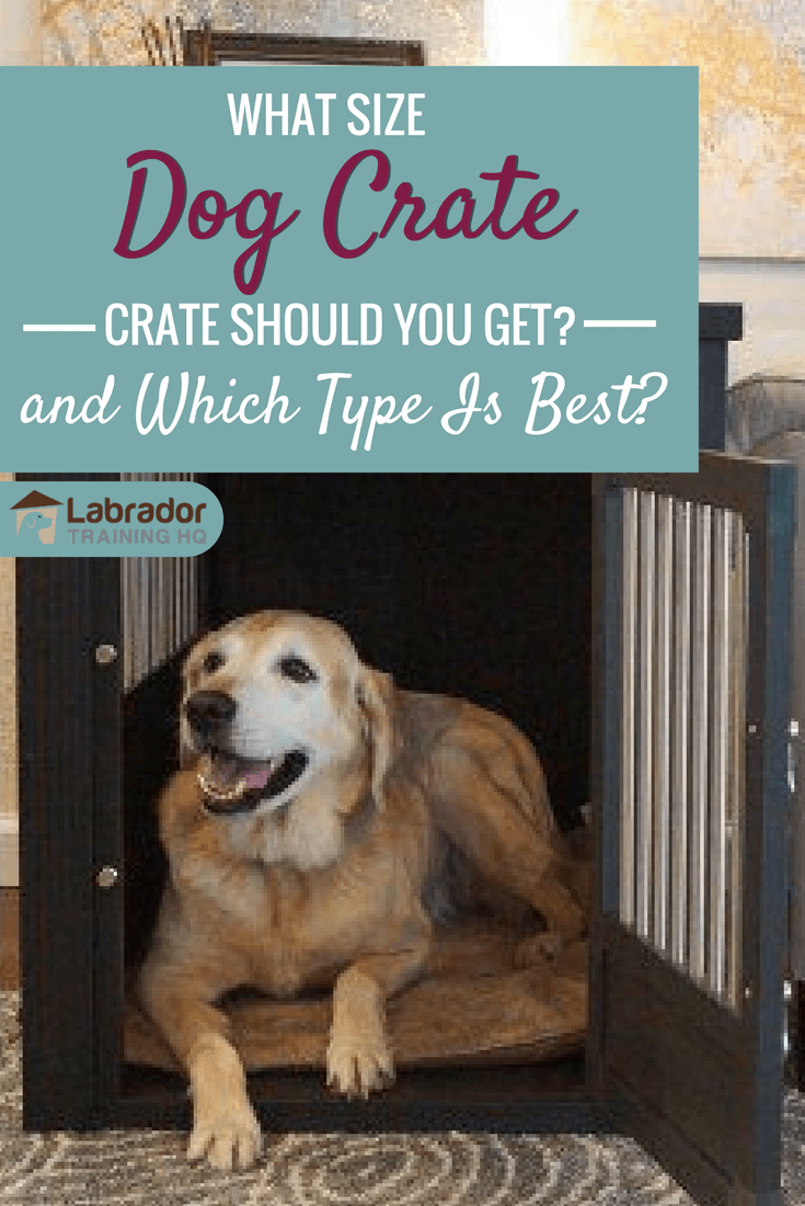 best size dog crate for labrador