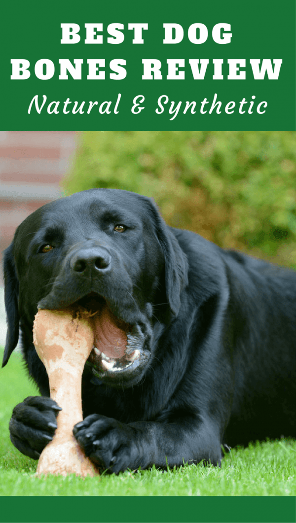 artificial bone for dogs