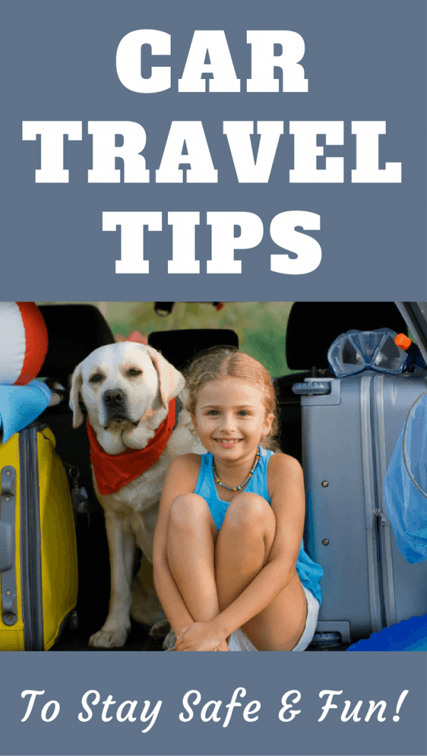 Car Travel Tips for You and Your Dog To Stay Safe and Enjoy It