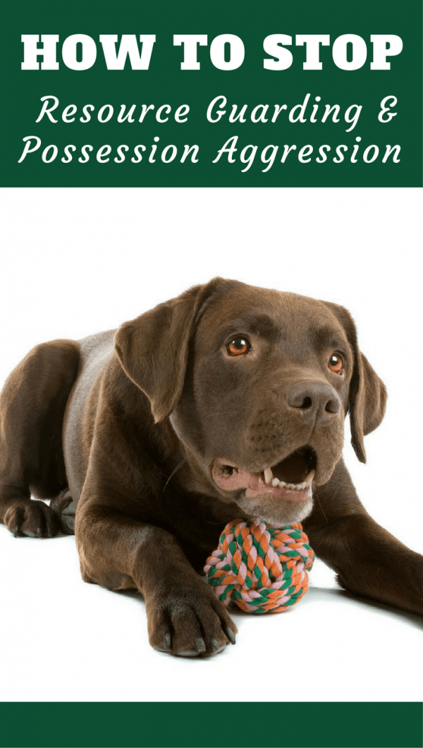 Dog Training Resource Guarding Dog Training Resource Guarding