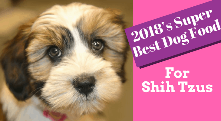 best dog food for shih tzu with skin allergies