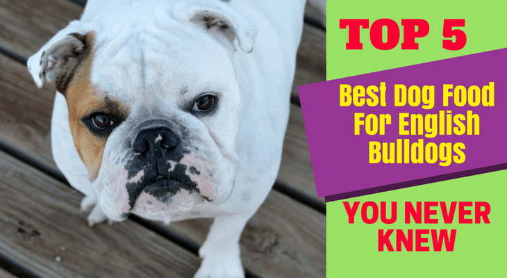 best bulldog puppy food