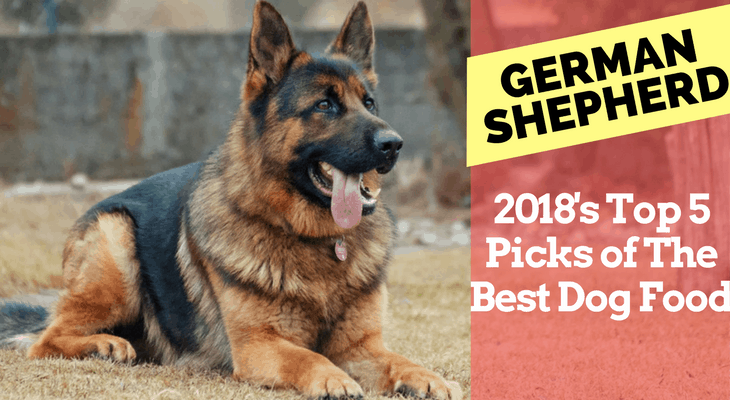 german shepherd dry food