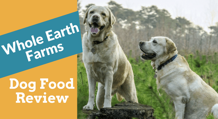 whole earth dog food reviews