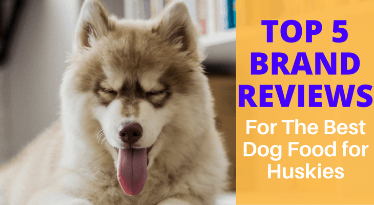 best wet food for siberian husky