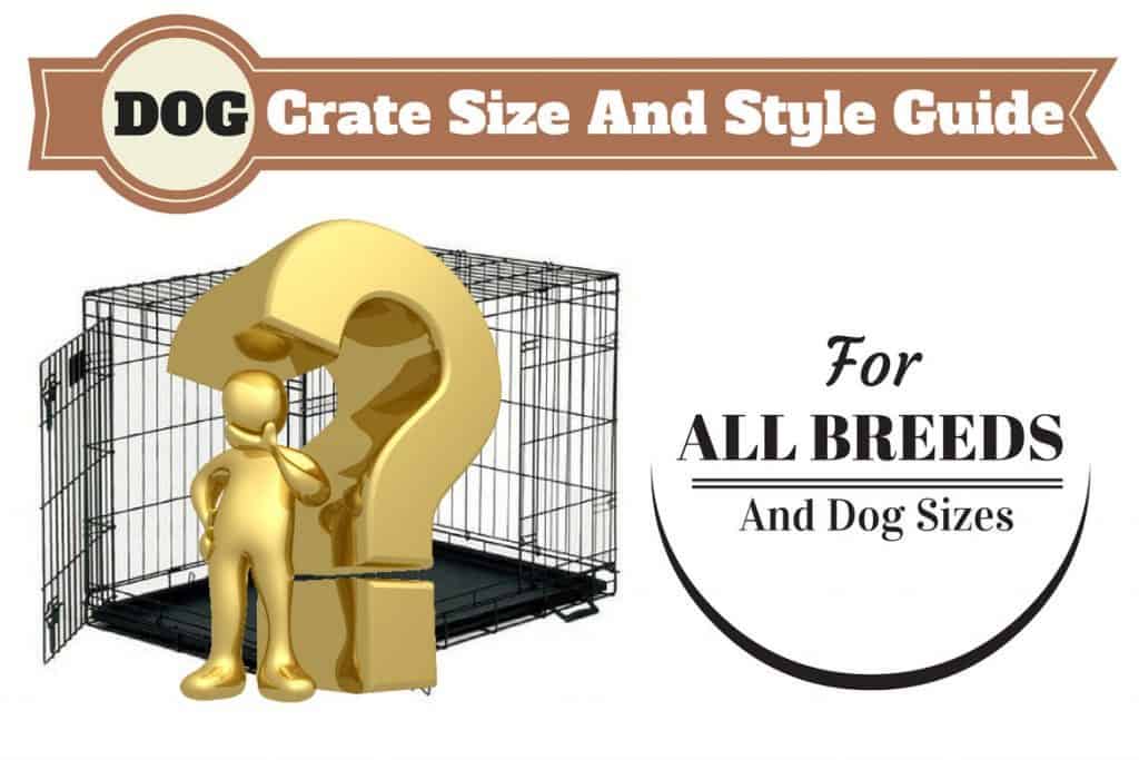 dog crate sizing guide