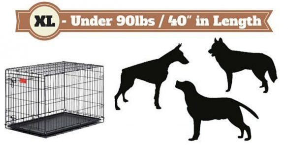 Dog Crate Size Chart