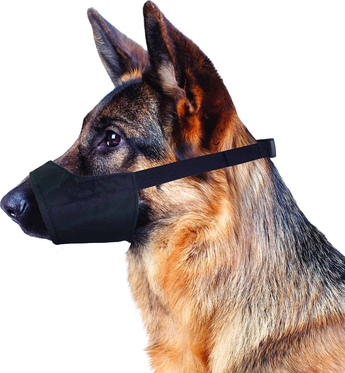 Four Paws Walk-About Quick-Fit Dog Muzzle.