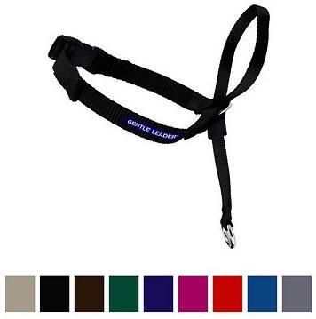 PetSafe Gentle Leader Head Collar with Training DVD