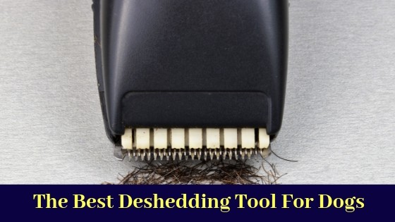 best deshedding tool for dogs