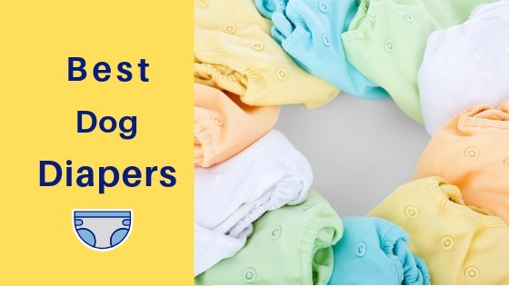 best female dog diapers