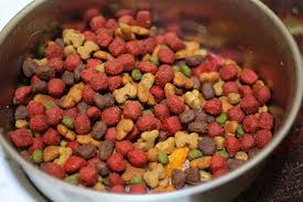 DogFoodBowl