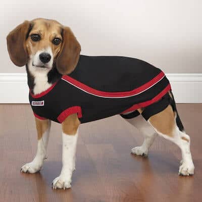 KONG Anxiety-Reducing Dog Shirt