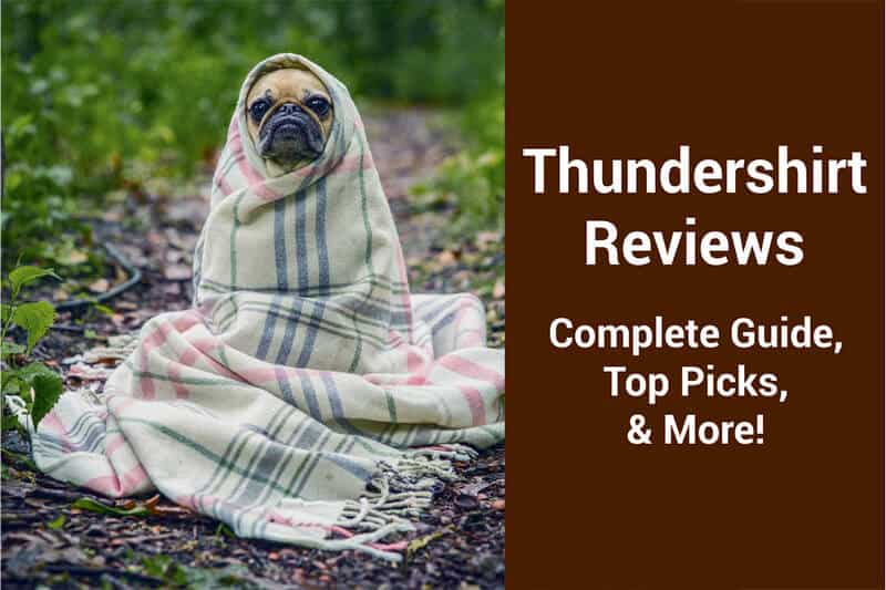thundershirt for small dogs reviews