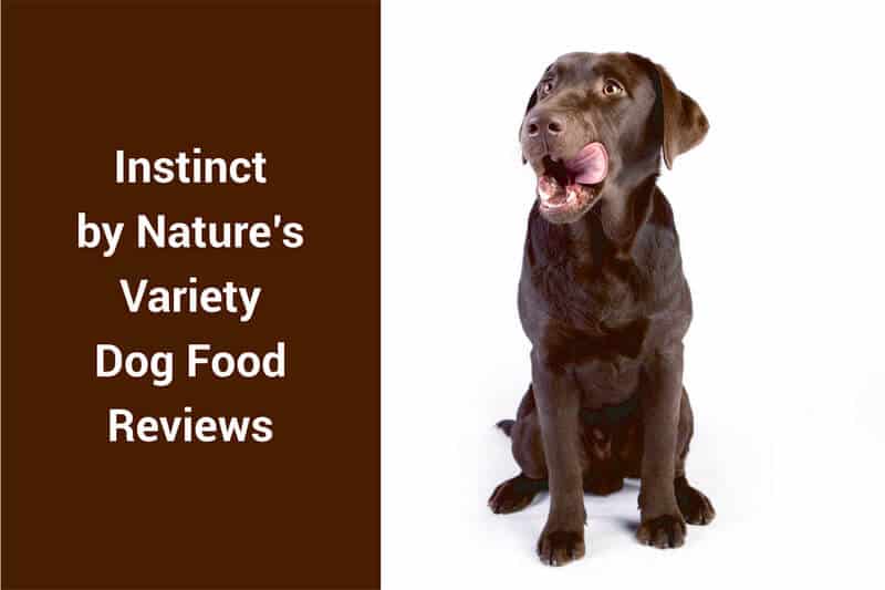 nature's variety instinct dog food