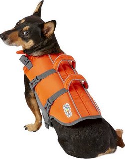 outward hound dog life jacket