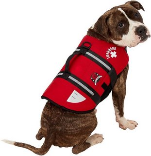 Paws Aboard Neoprene Jacket Paws Aboard Neoprene Jacket