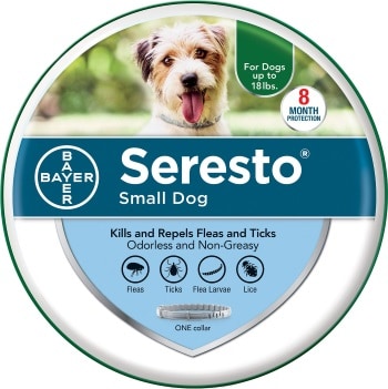 Sarcoptic Mange In Dogs What It Is And How To Treat It The Dog People By Rover Com In 2020 Dog Skin Allergies Dog Allergies Dog Mange