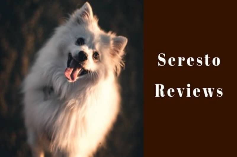 seresto reviews seresto reviews