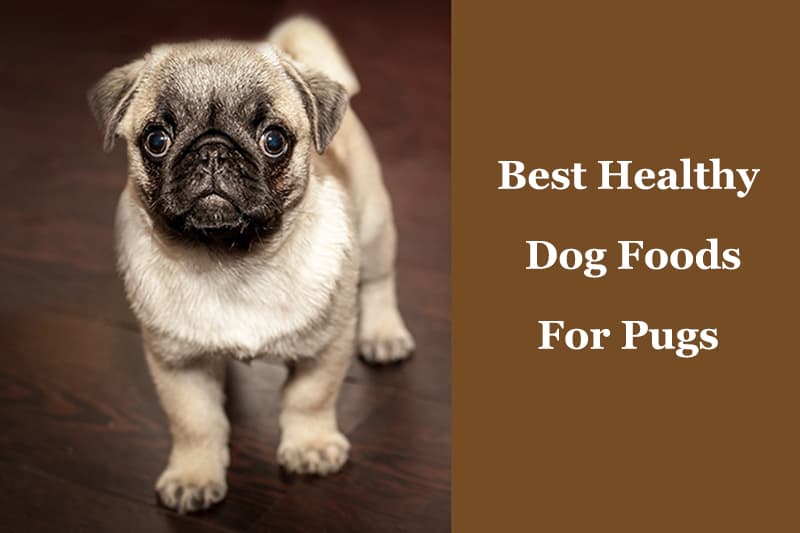 vitamins for pugs