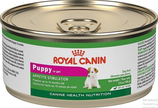 royal canin bad