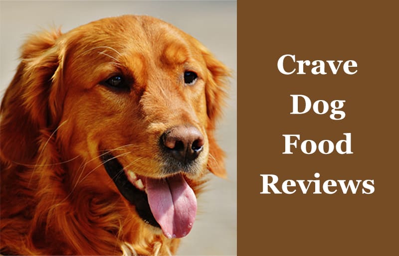 crave brand dog food