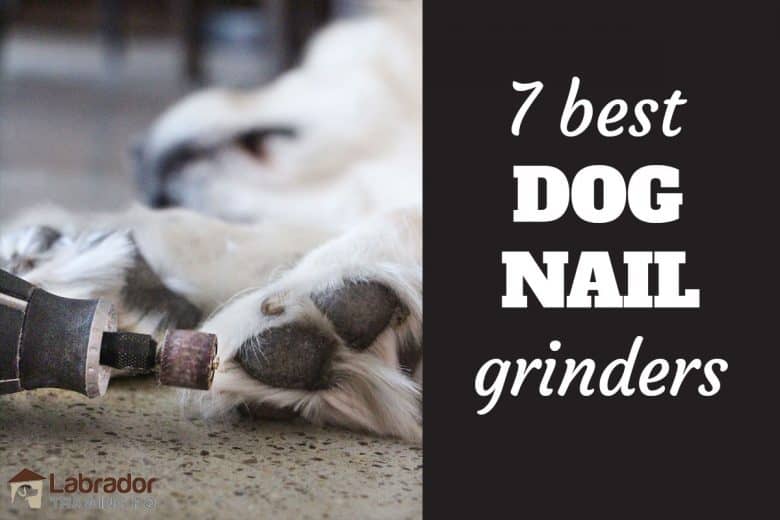 best dog toe nail grinder