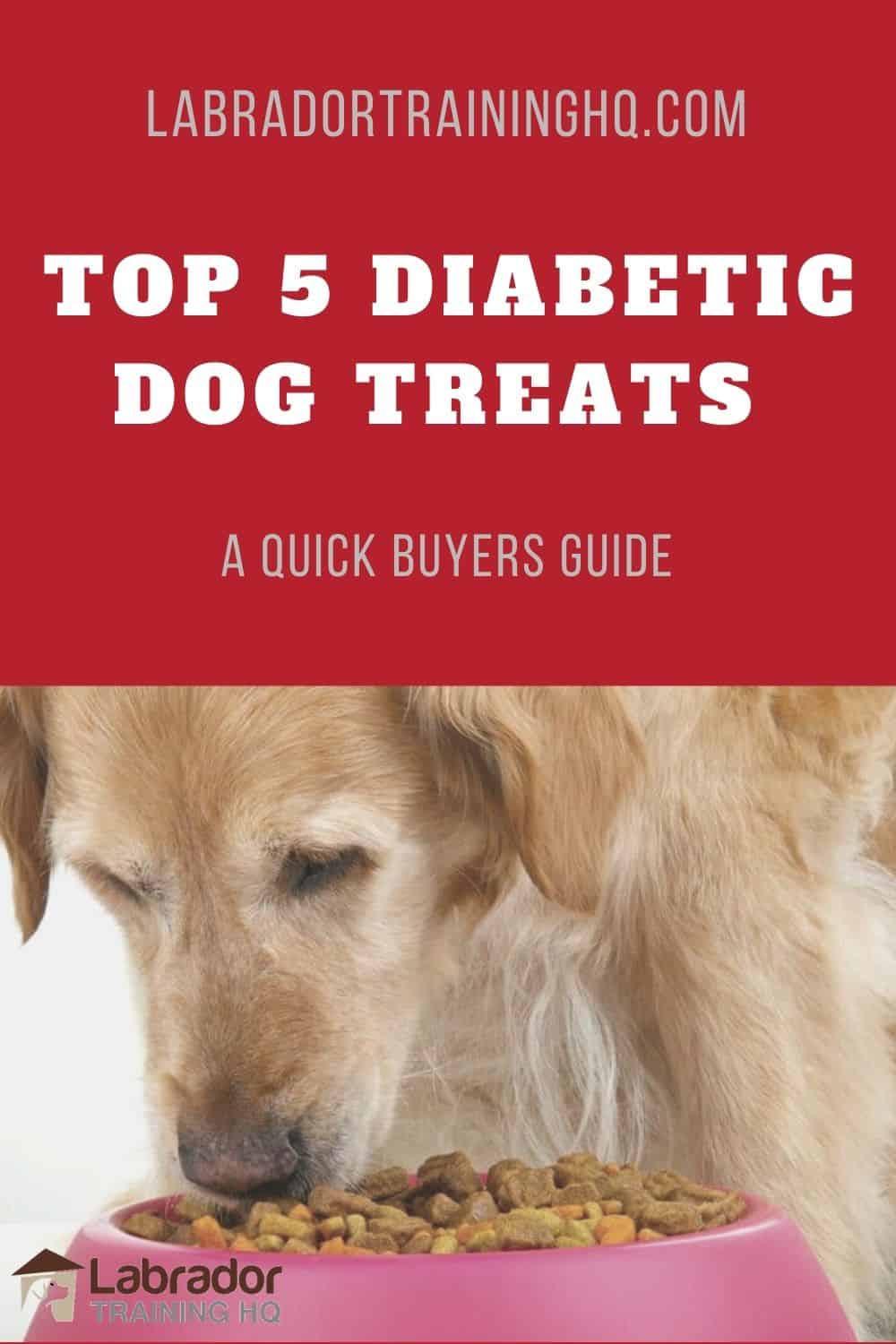 Best Treats For Diabetic Dogs best-treats-for-diabetic-dogs