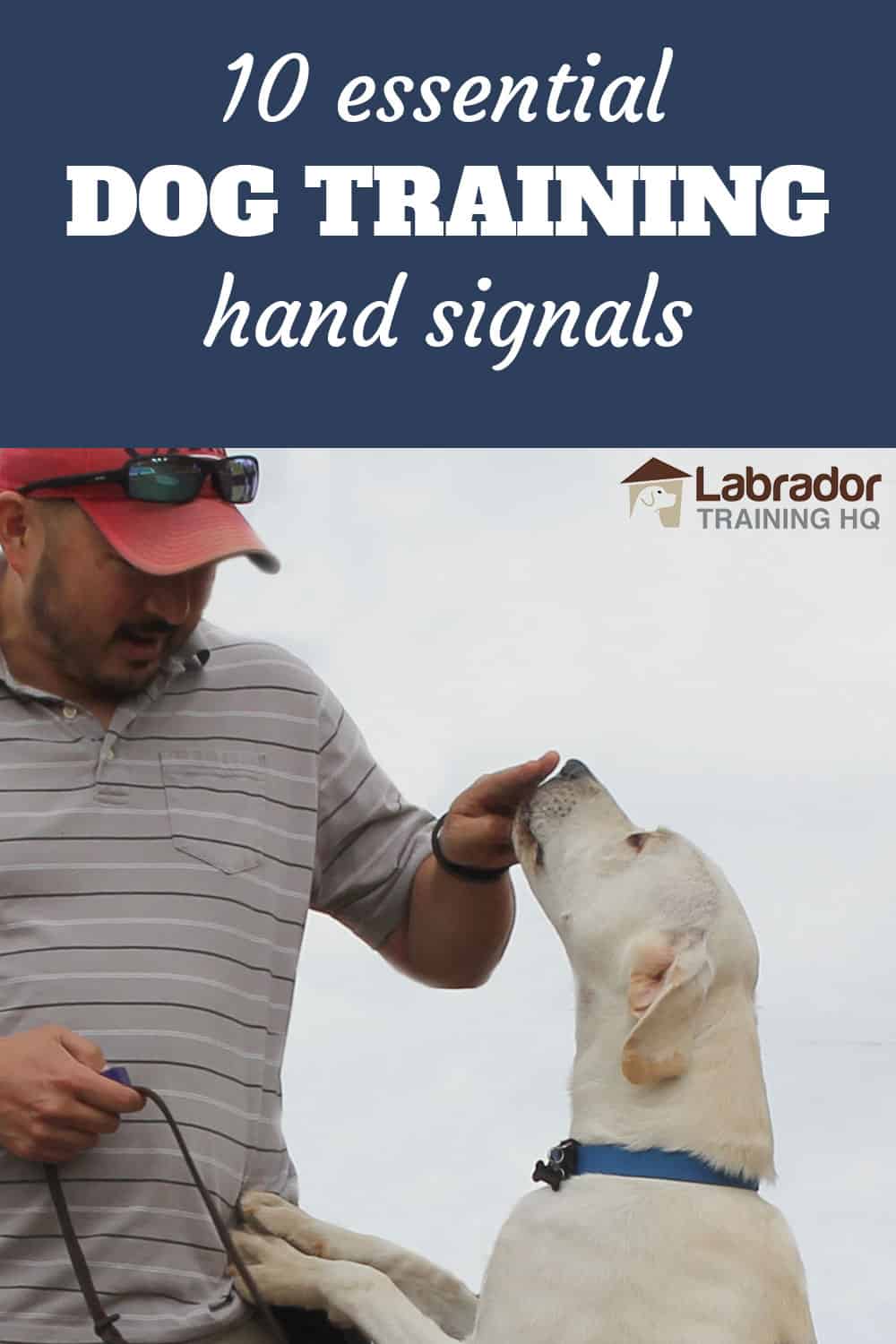 Hand Signals For Dog Training Southernfert