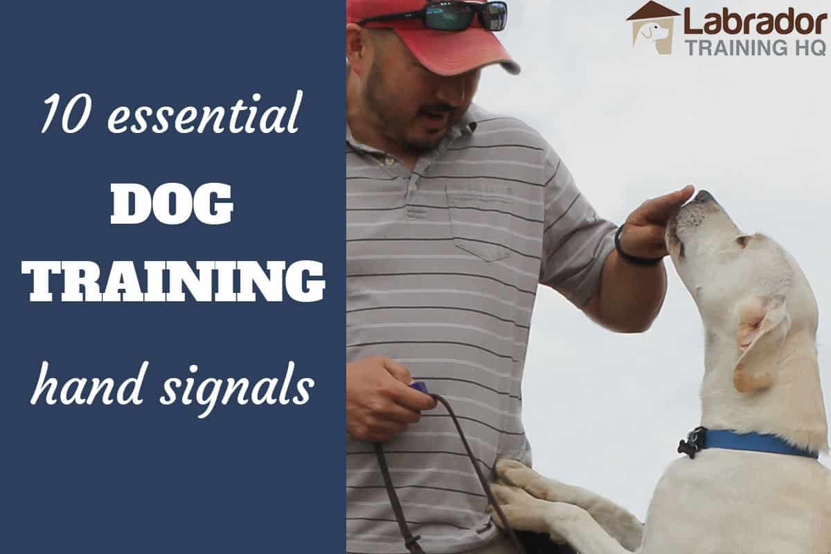 dog obedience hand signals chart