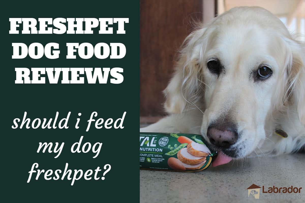 can you heat up freshpet dog food