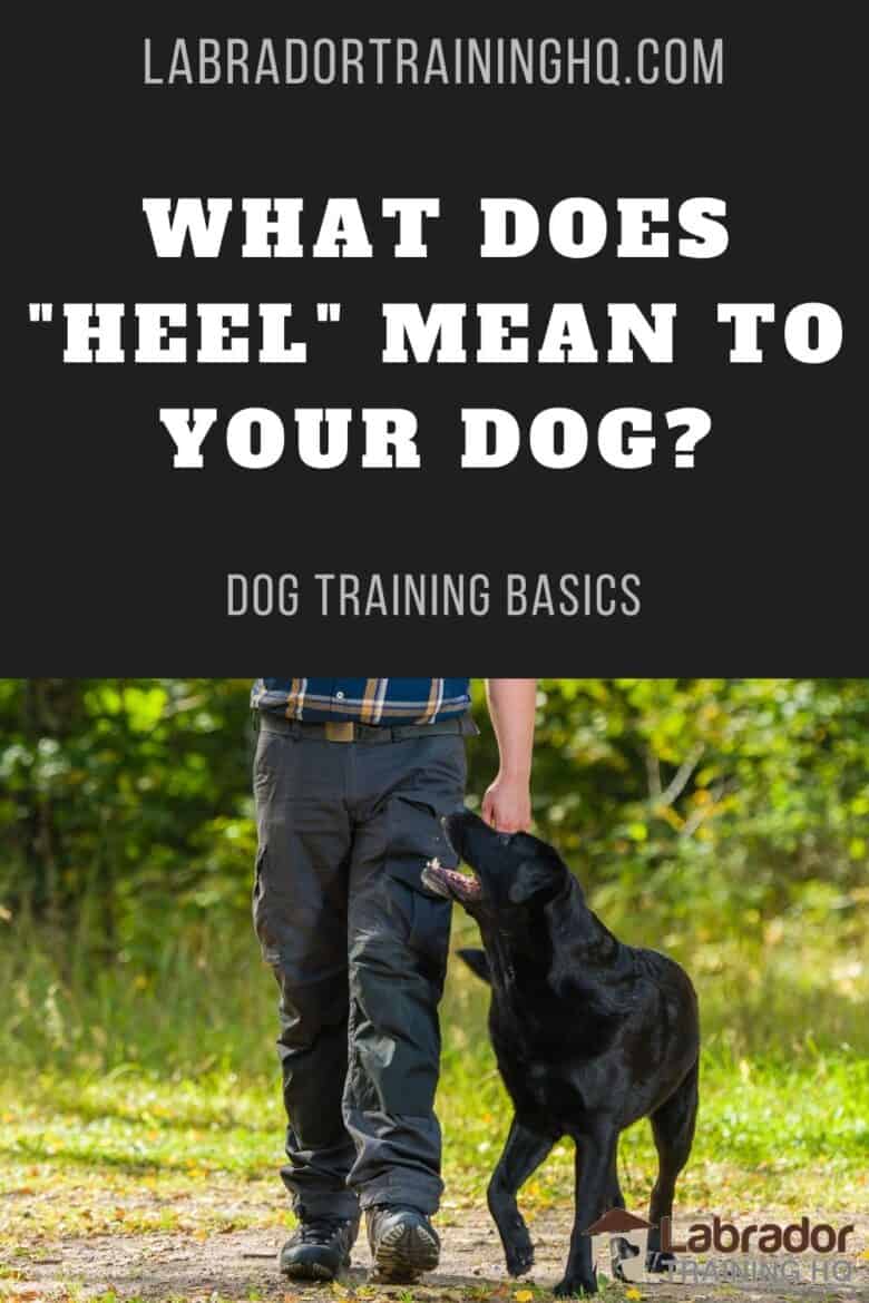 teaching attention heeling