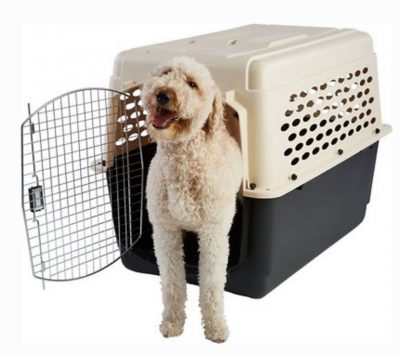 dog crate for labradoodle